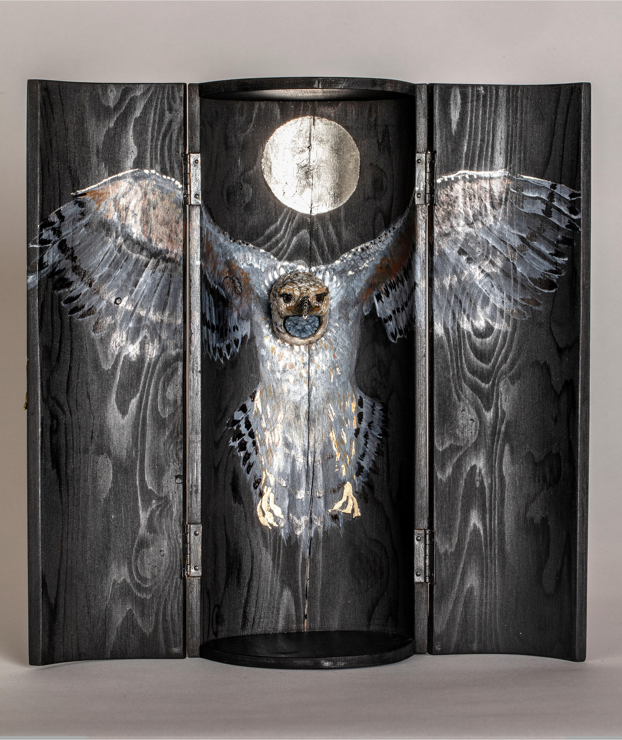 Juvenile Stephanoaetus Coronatus